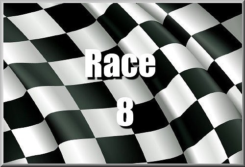 Race 8