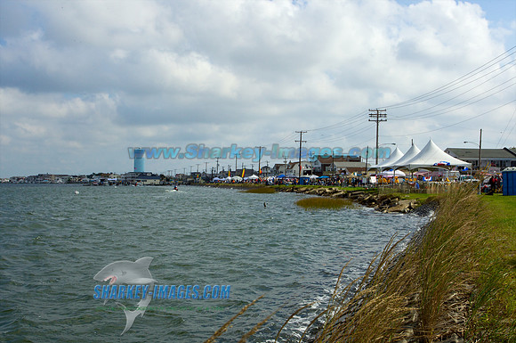 111001A 36 - Version 2