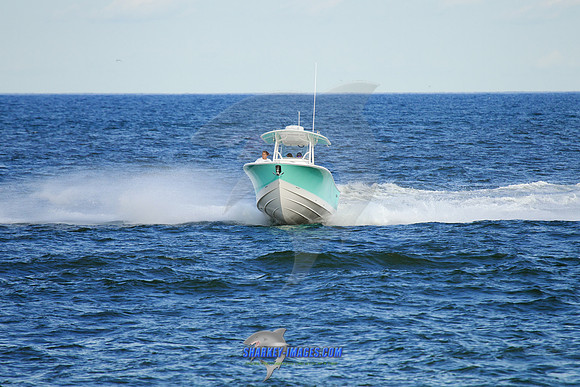 160902A 169