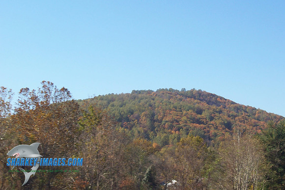 110208_ 014.jpg
