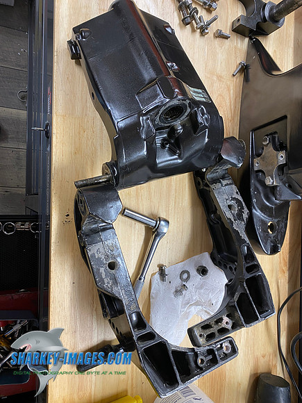 8020E2BC-681F-449F-9BD9-F889E9E6DF75