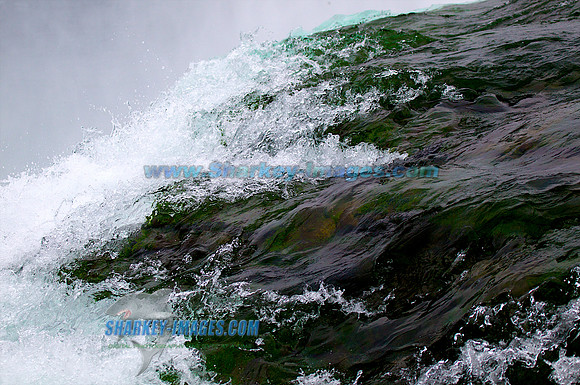 110813F 107 - Version 2