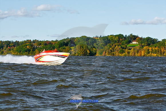 101009B 395 - Version 2.jpg