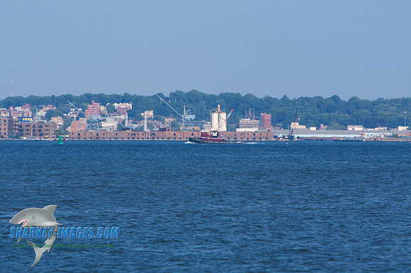 062010 134 - Version 2