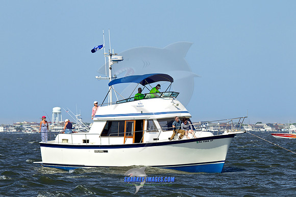 150531R3 467