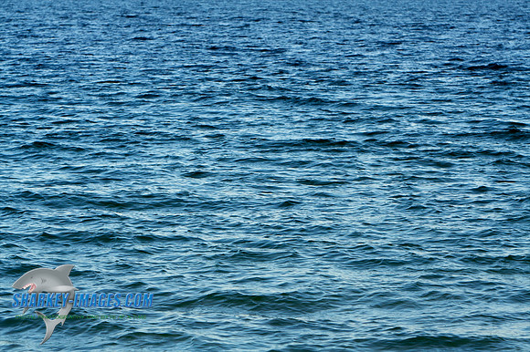 011410 3 - Version 2.jpg