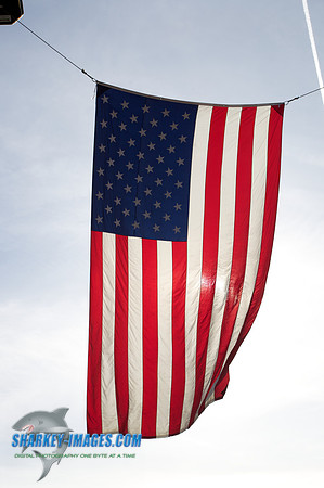 110120  1233 - Version 2