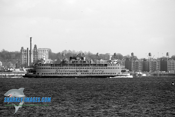 1162009 061C_BW.JPG