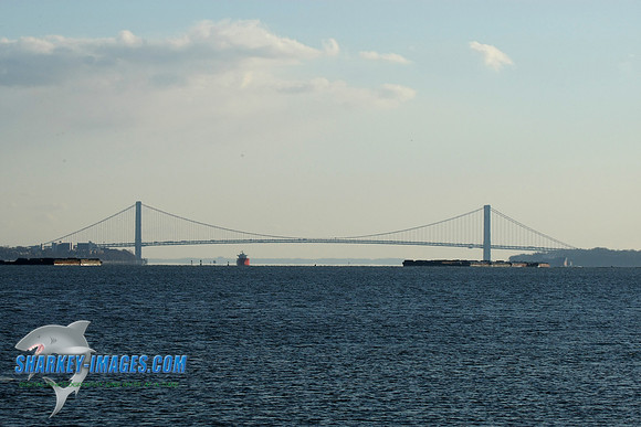 1162009 054C.JPG