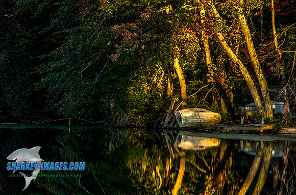 20140267_HDR