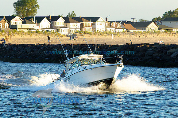 120722A 393