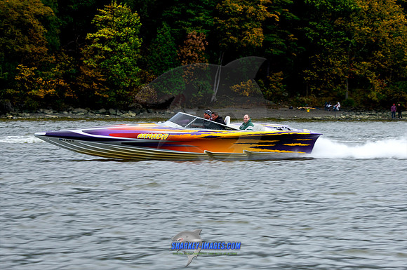 101009B 251 - Version 2.jpg