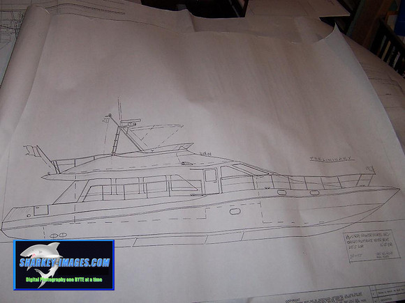 100_0033r.jpg