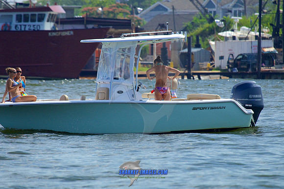 150710D 1254