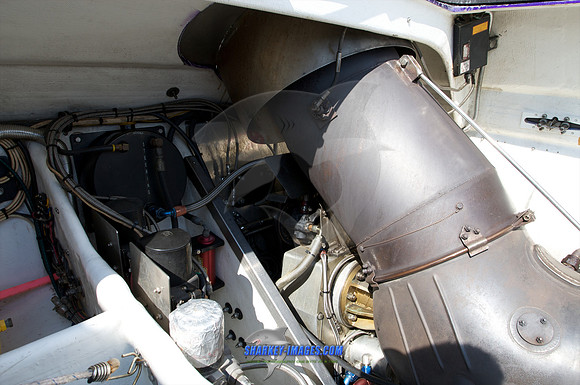 080109_JS 73.jpg