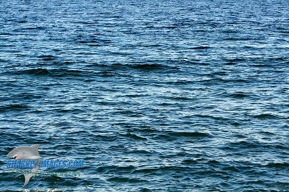 011410 16 - Version 2.jpg