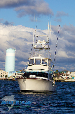 111002B 1484 - Version 2