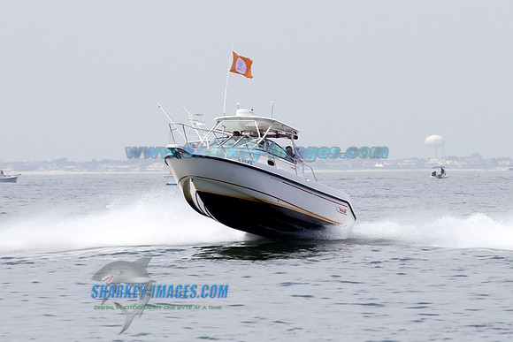 1306223SS 293