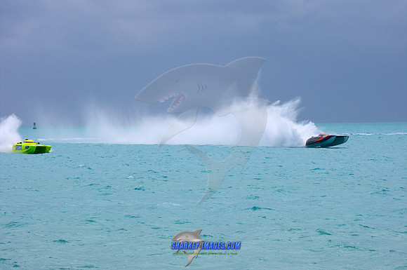 111109_ 563 - Version 2.jpg