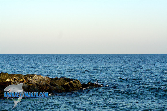 011410 1 - Version 2.jpg