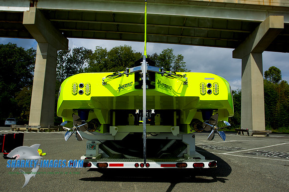 110926 39 - Version 2