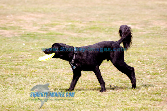 100821B 49 - Version 2