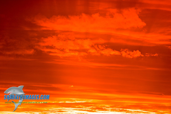 101001 214 - Version 2