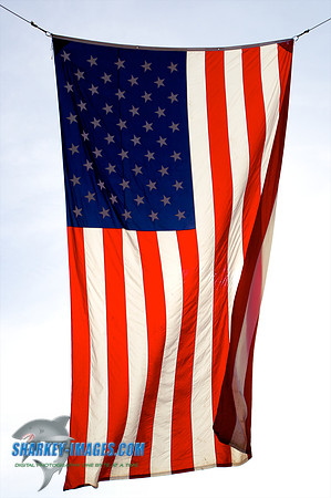110120  1231 - Version 2