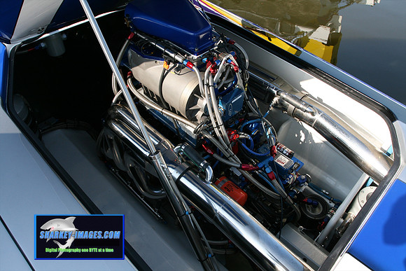 080109_T 48.jpg