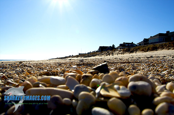 121109_ 7 - Version 2.jpg