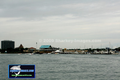 072909_A 14 - Version 2.jpg
