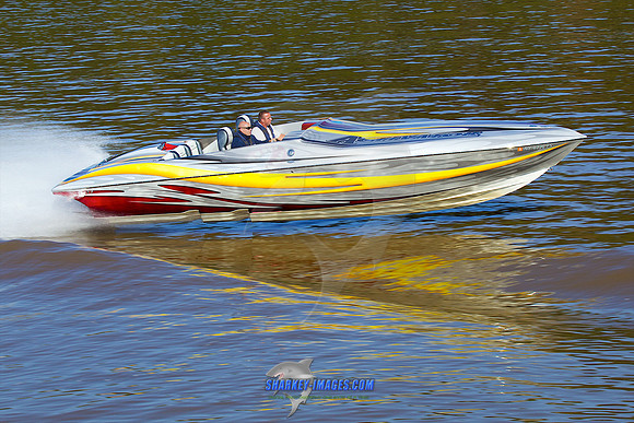 111008A 1045 - Version 2
