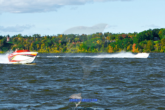 101009B 421 - Version 2.jpg