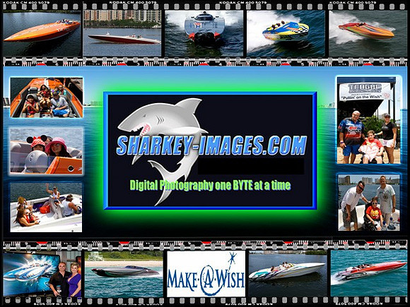 Sharkey-Images PPBC