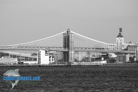 1162009 065C_BW.JPG
