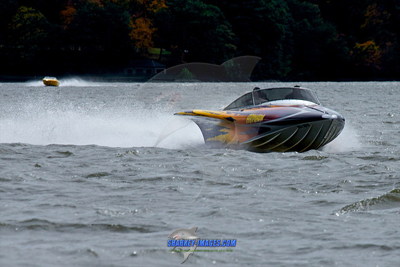 101009B 272 - Version 2.jpg