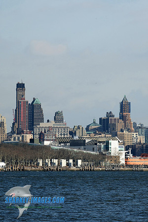 1162009 026C.JPG