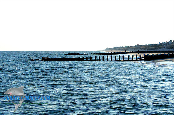 011410 13 - Version 2.jpg