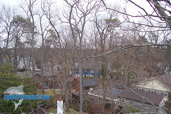 3_07 007.jpg