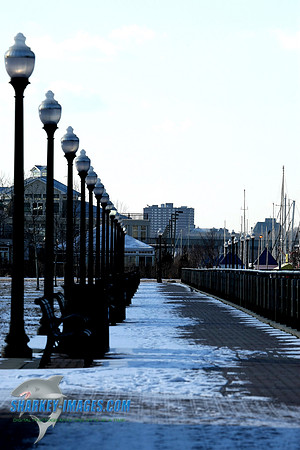 1162009 033C.JPG