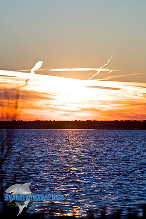 110203A  1472 - Version 2