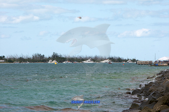111309R_ 325 - Version 2.jpg