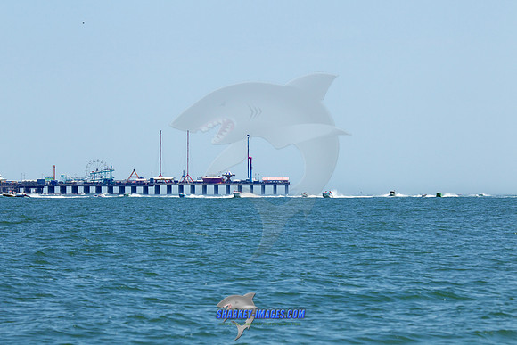 160619A 89