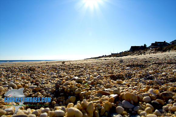 121109_ 6 - Version 2.jpg