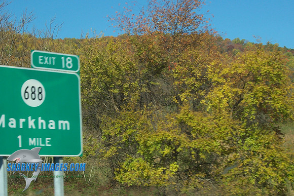110208_ 012.jpg