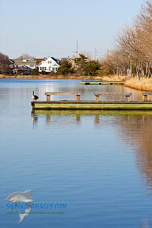 031710_C 7 - Version 2