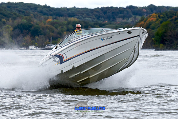 101009B 75 - Version 2.jpg