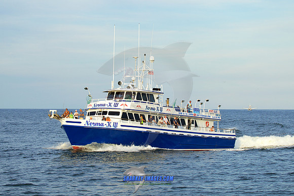 160902A 345