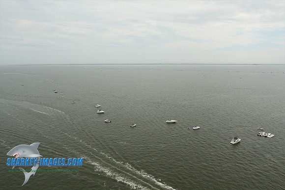 082309W 42.jpg