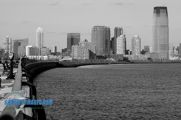 1162009 068C_BW.JPG